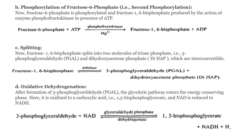 b phosphorylation of fructose 6 phosphate