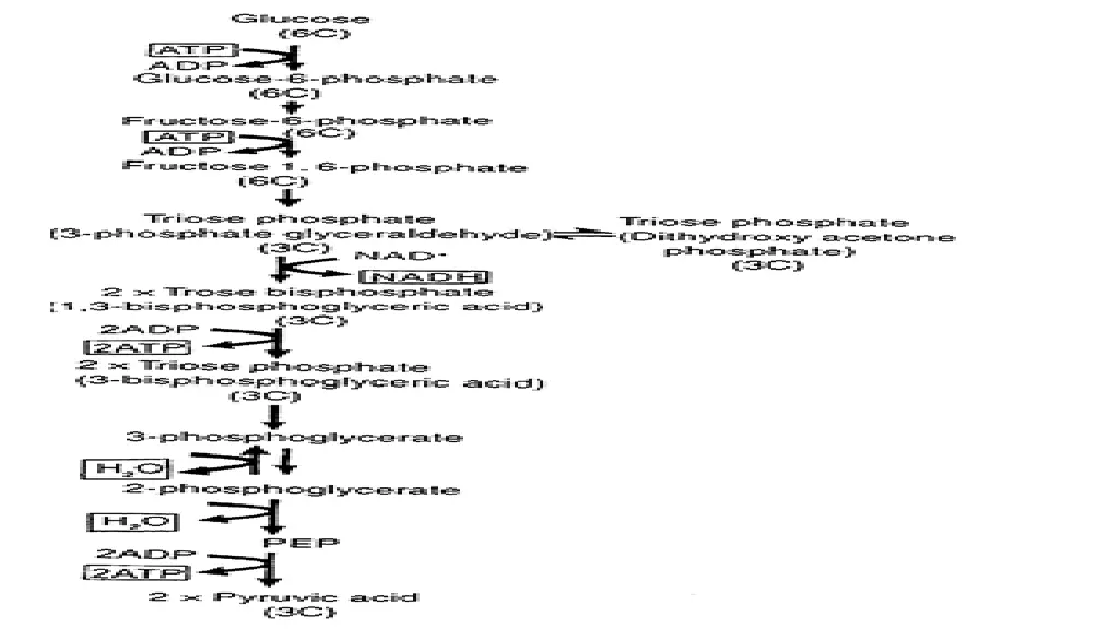 main steps of glycolysis or emp pathway