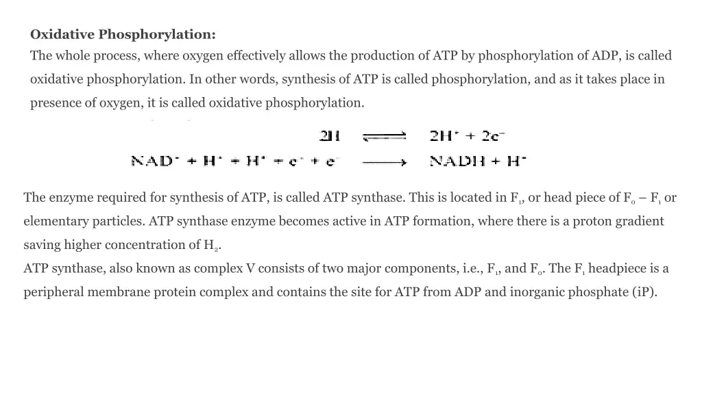 oxidative phosphorylation the whole process where