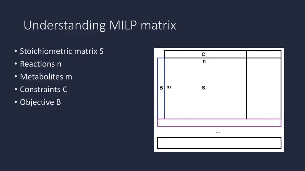 understanding milp matrix
