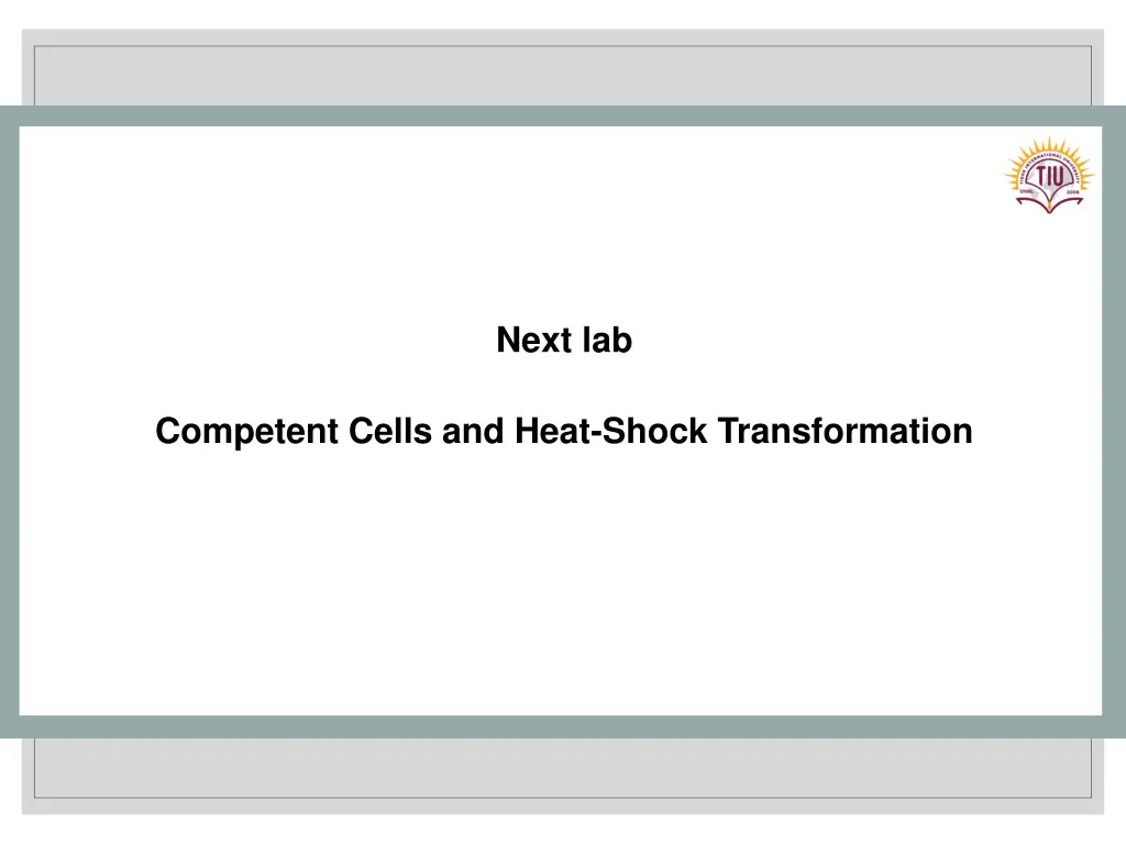 next lab