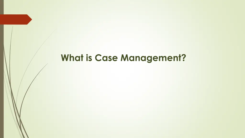 what is case management