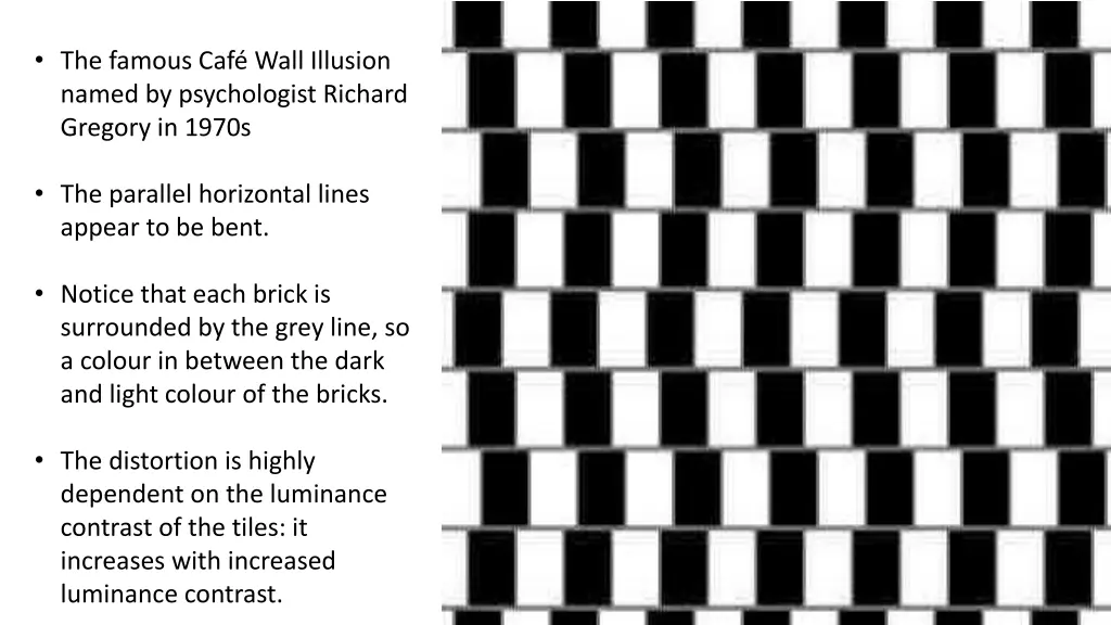 the famous caf wall illusion named
