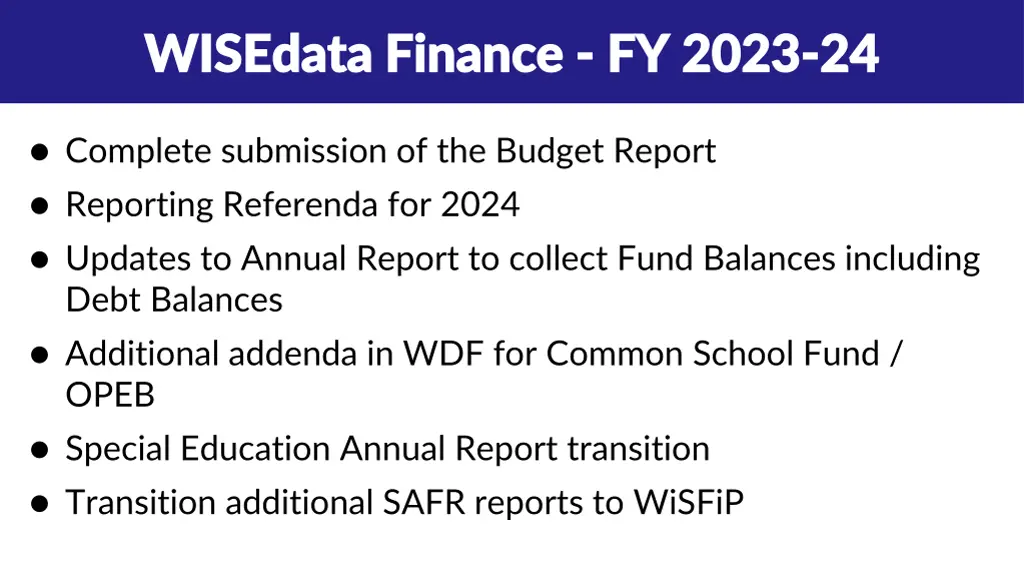 wisedata finance wisedata finance fy 2023