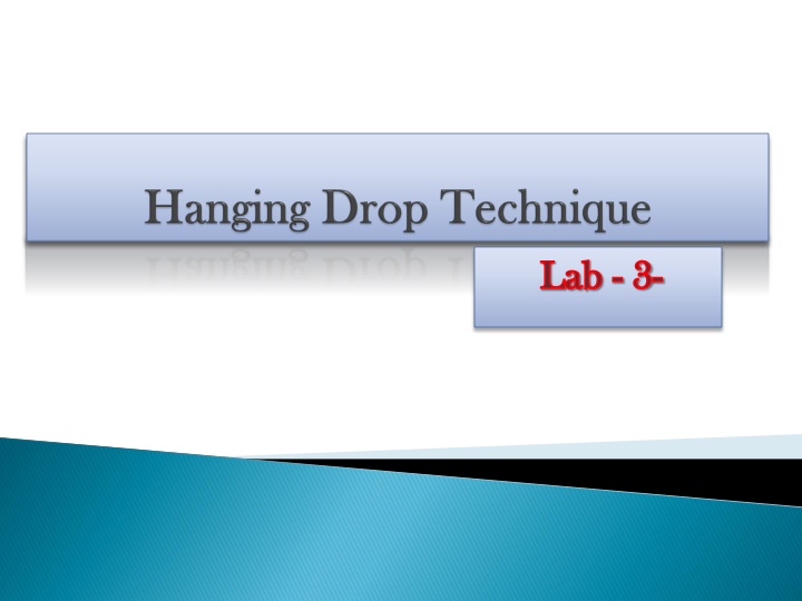 lab lab 3 3