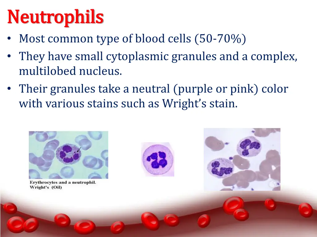 neutrophils neutrophils most common type of blood
