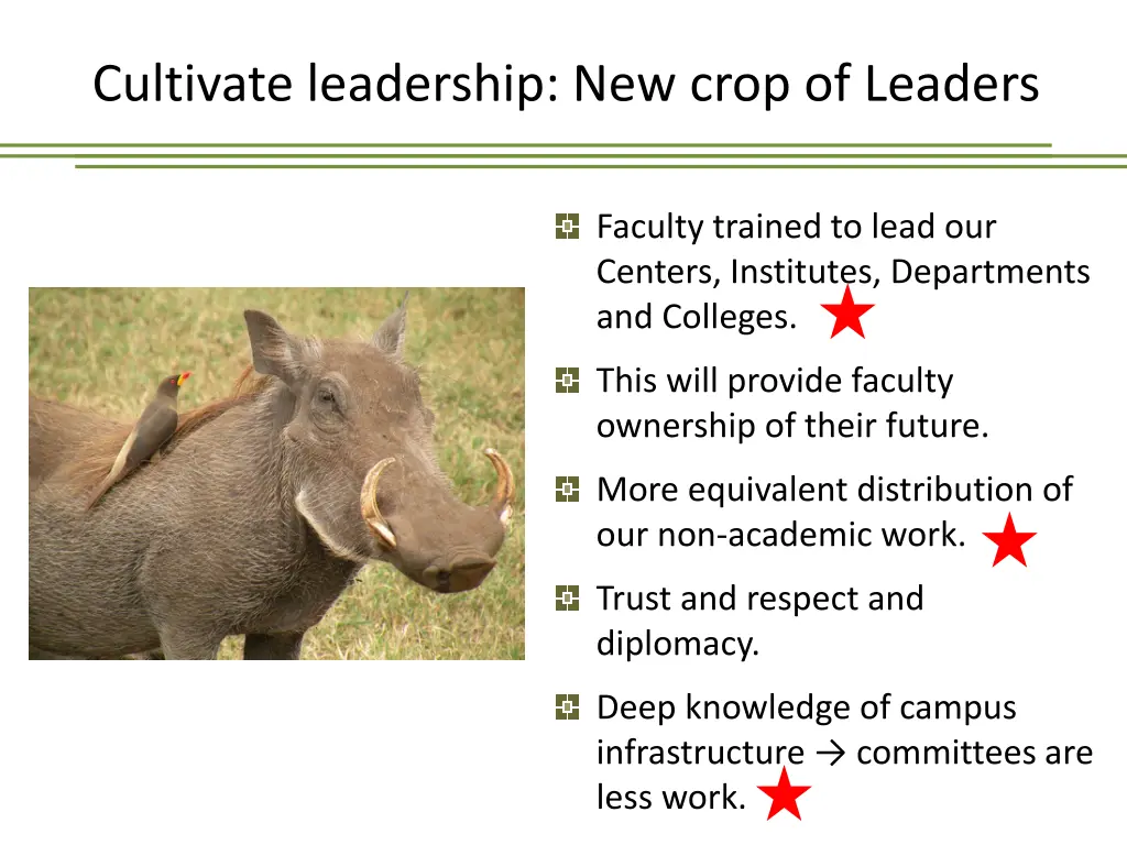 cultivate leadership new crop of leaders