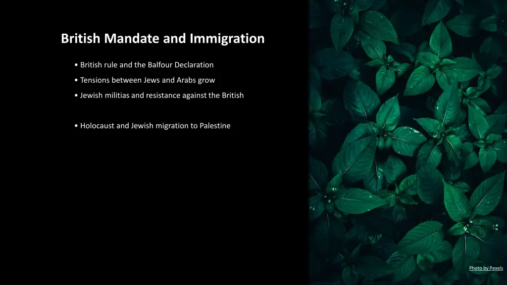 british mandate and immigration