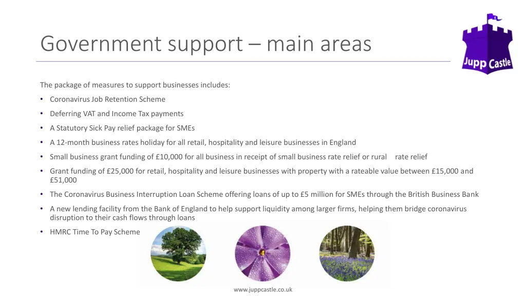 government support main areas