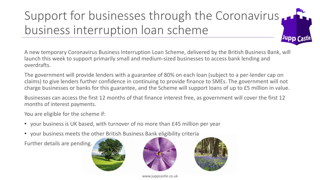 support for businesses through the coronavirus