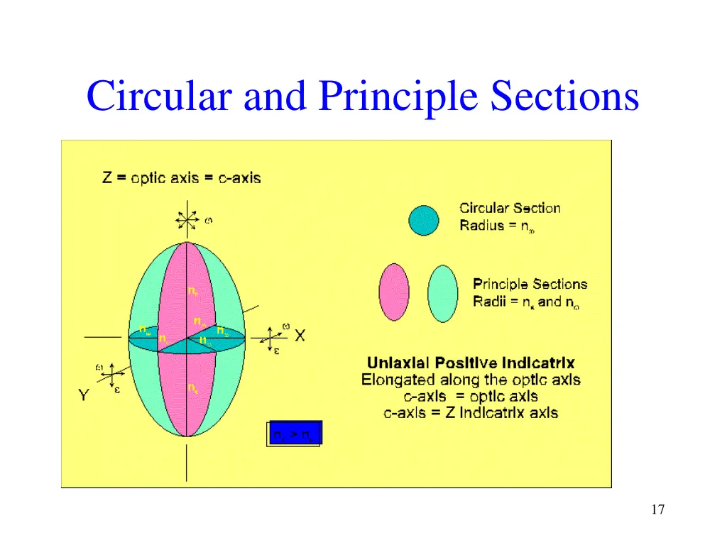 circular and principle sections
