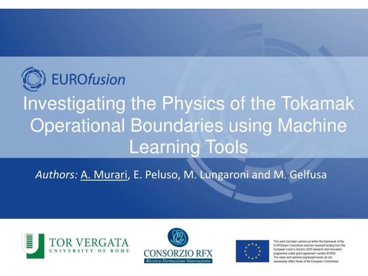 investigating the physics of the tokamak