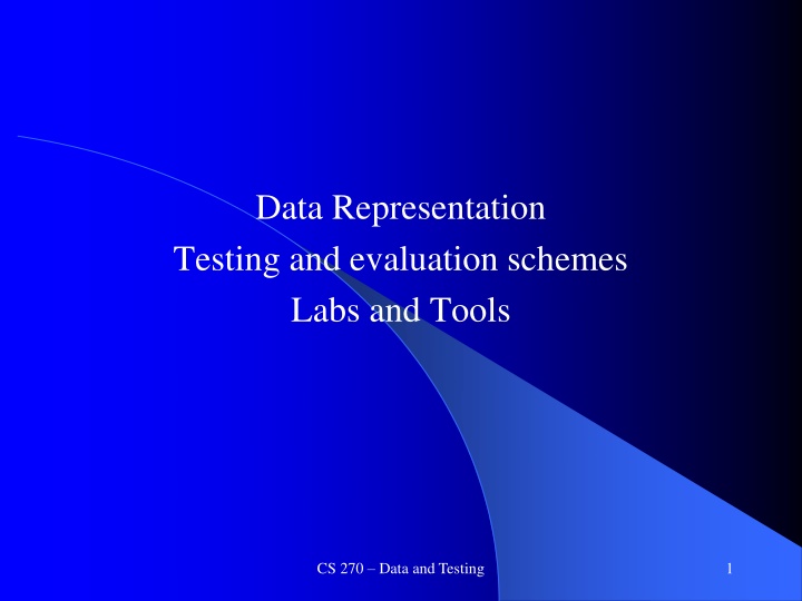 data representation testing and evaluation