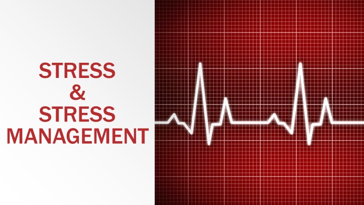 stress stress management