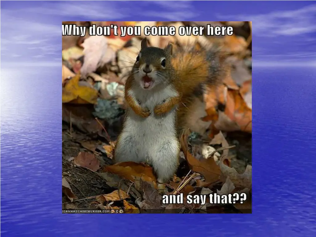 slide8