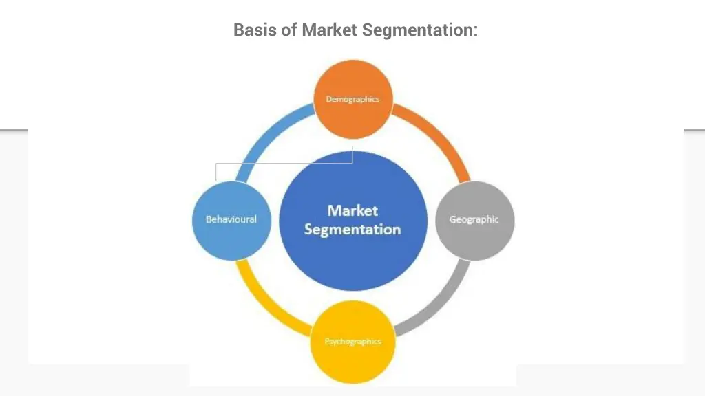 basis of market segmentation