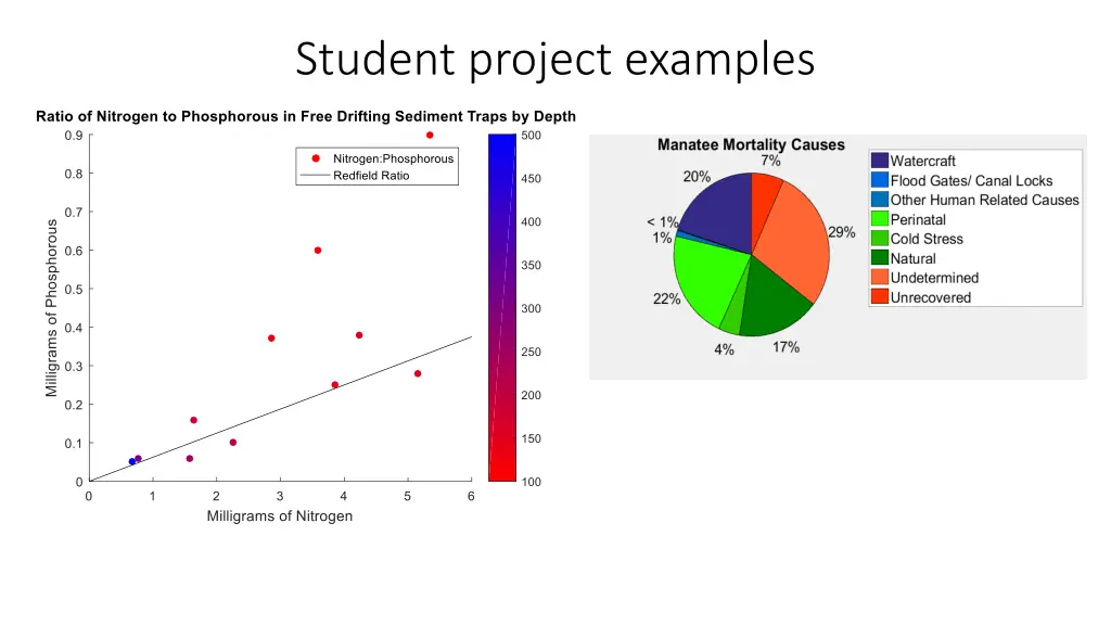 student project examples