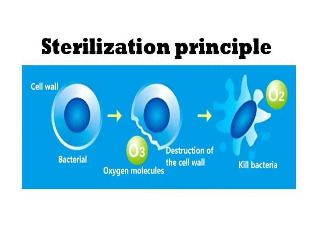 slide22