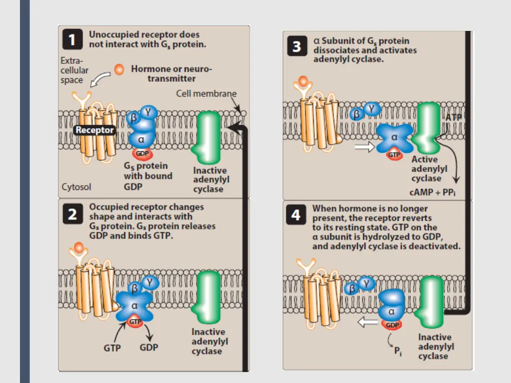 slide10