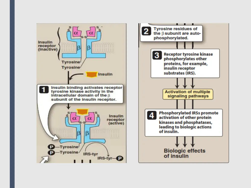 slide13
