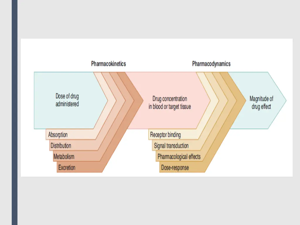 slide3