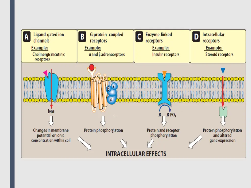 slide7