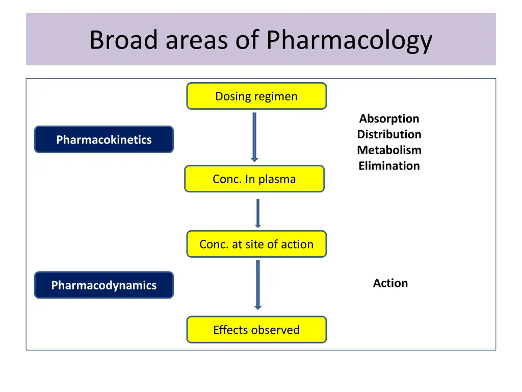 broad areas of pharmacology 1