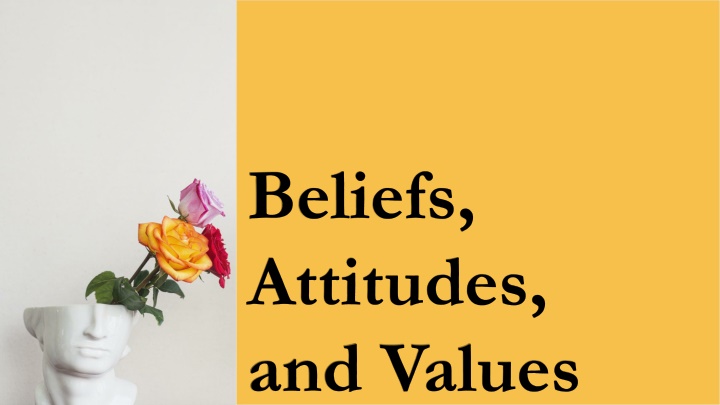 beliefs attitudes and values