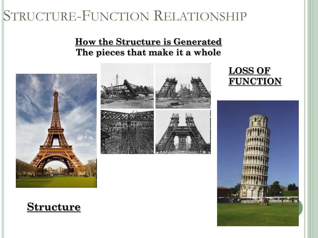 s tructure f unction r elationship