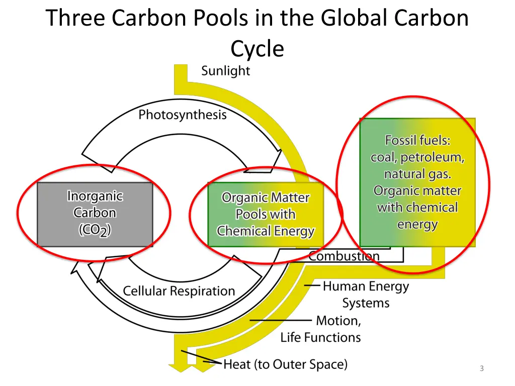 three carbon pools in the global carbon cycle
