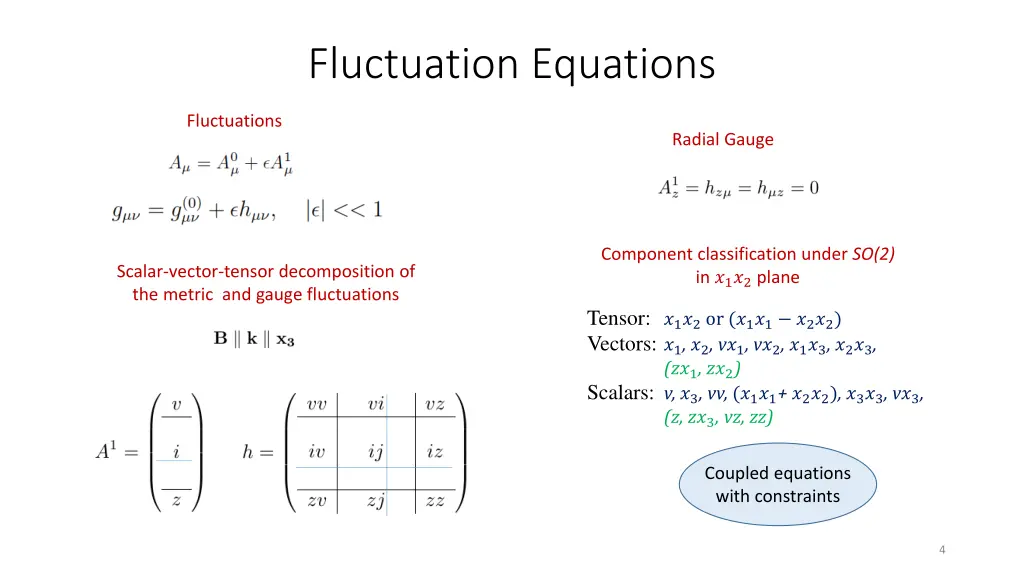 fluctuation equations
