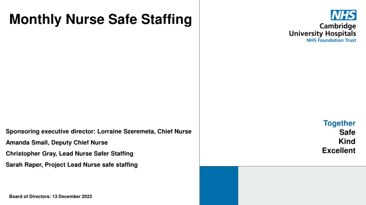 monthly nurse safe staffing