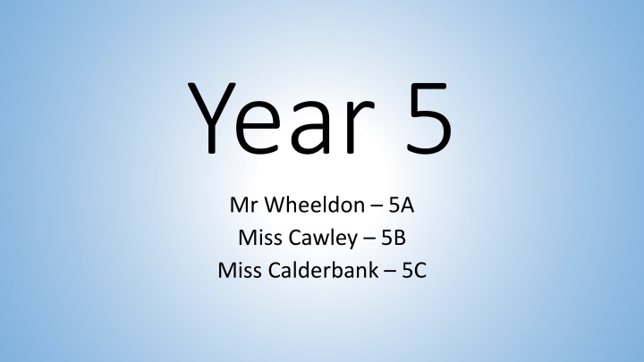 year 5