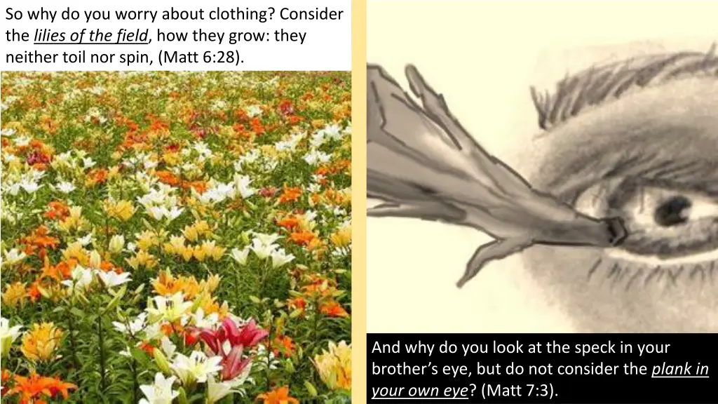 so why do you worry about clothing consider