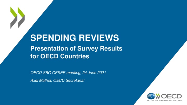 spending reviews presentation of survey results
