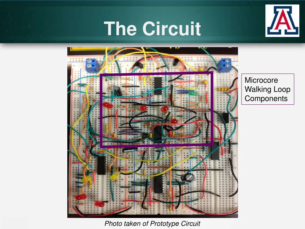 the circuit 1