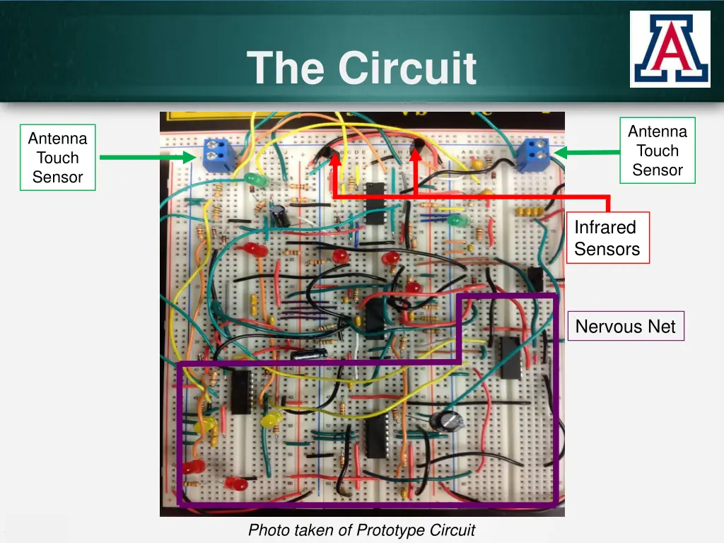 the circuit 2