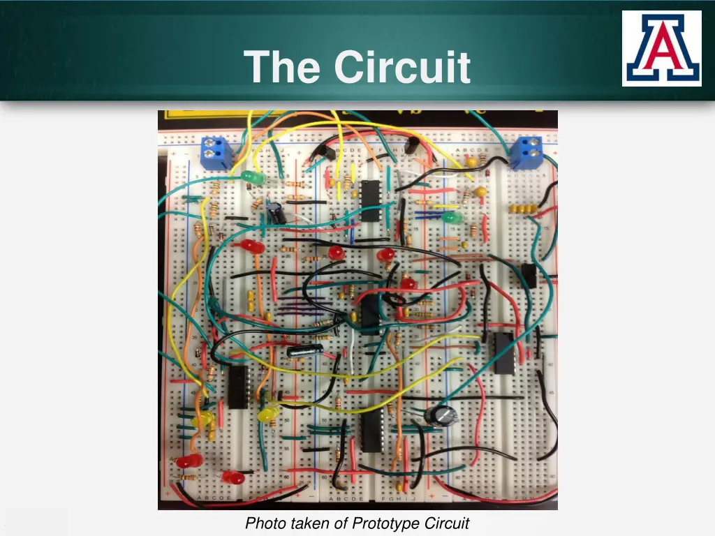 the circuit