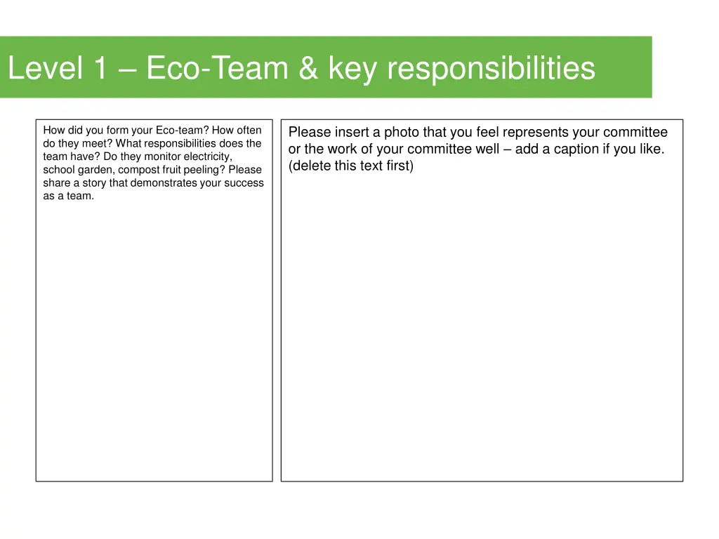 level 1 eco team key responsibilities