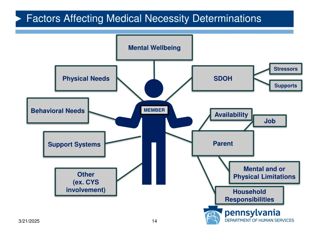 factors affecting medical necessity determinations