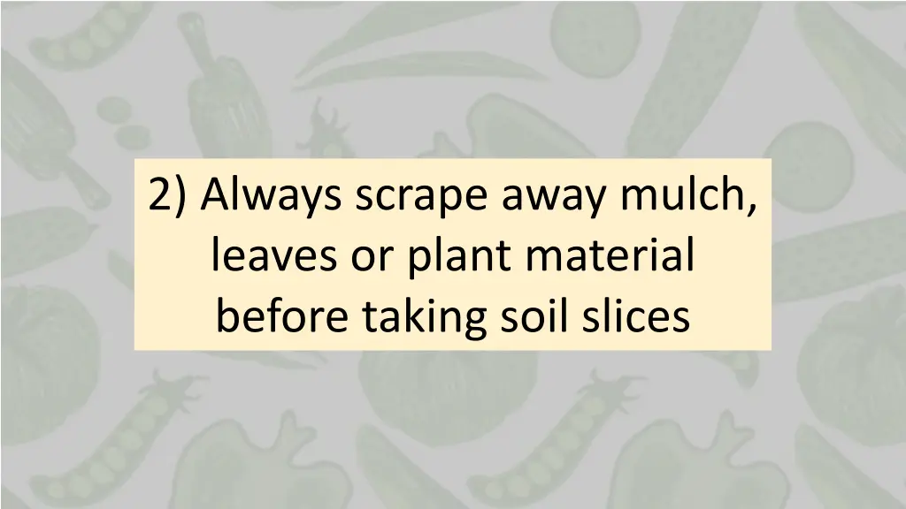2 always scrape away mulch leaves or plant