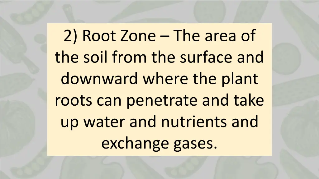 2 root zone the area of the soil from the surface