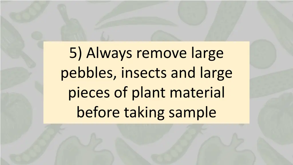 5 always remove large pebbles insects and large