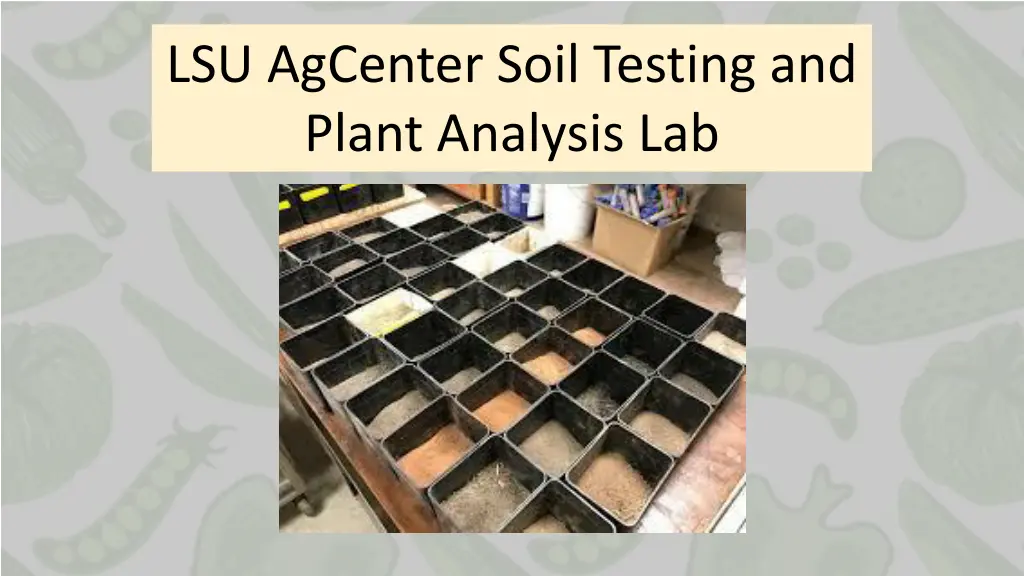 lsu agcenter soil testing and plant analysis lab