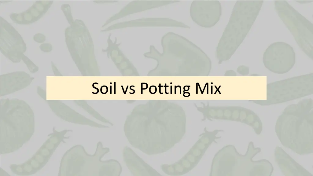 soil vs potting mix