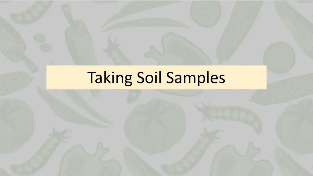 taking soil samples 1
