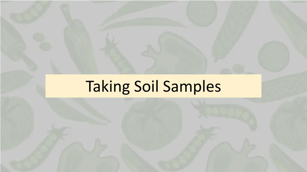 taking soil samples