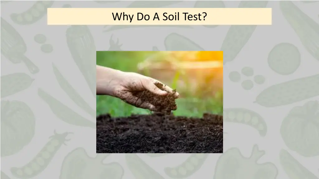why do a soil test