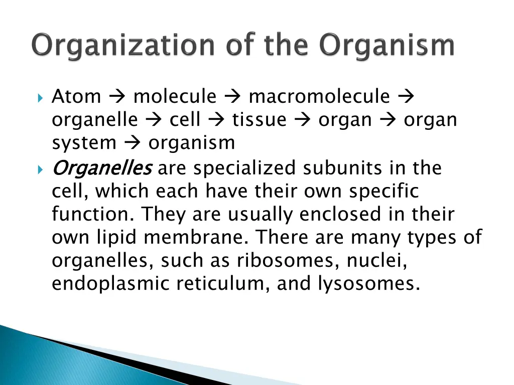 atom molecule macromolecule organelle cell tissue