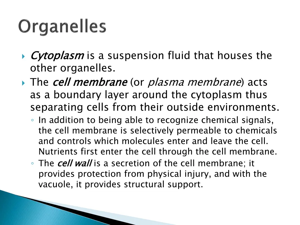 cytoplasm other organelles the cell membrane
